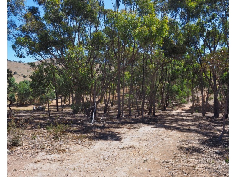 Lot 20 Rifle Butts Road, Landsborough VIC 3384