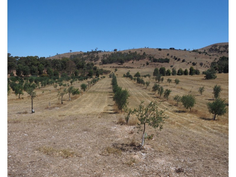 Lot 20 Rifle Butts Road, Landsborough VIC 3384