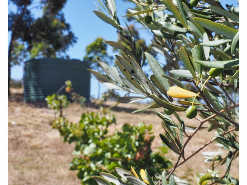 Lot 20 Rifle Butts Road, Landsborough VIC 3384