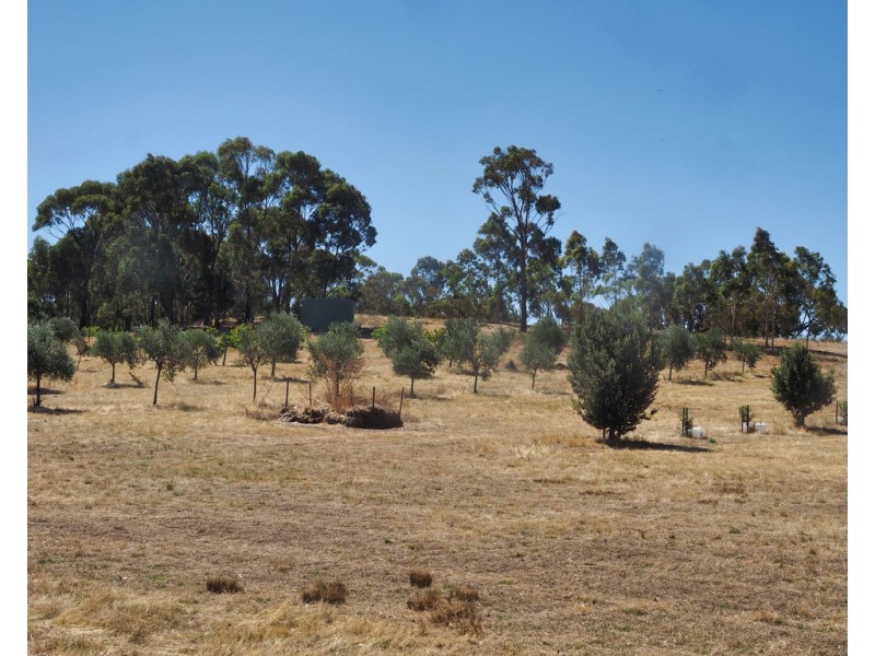 Lot 20 Rifle Butts Road, Landsborough VIC 3384