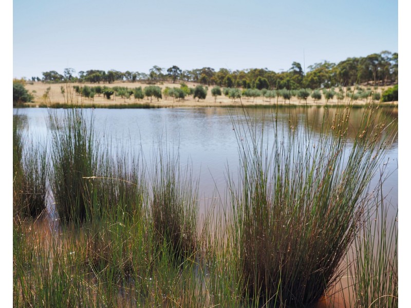 Lot 20 Rifle Butts Road, Landsborough VIC 3384