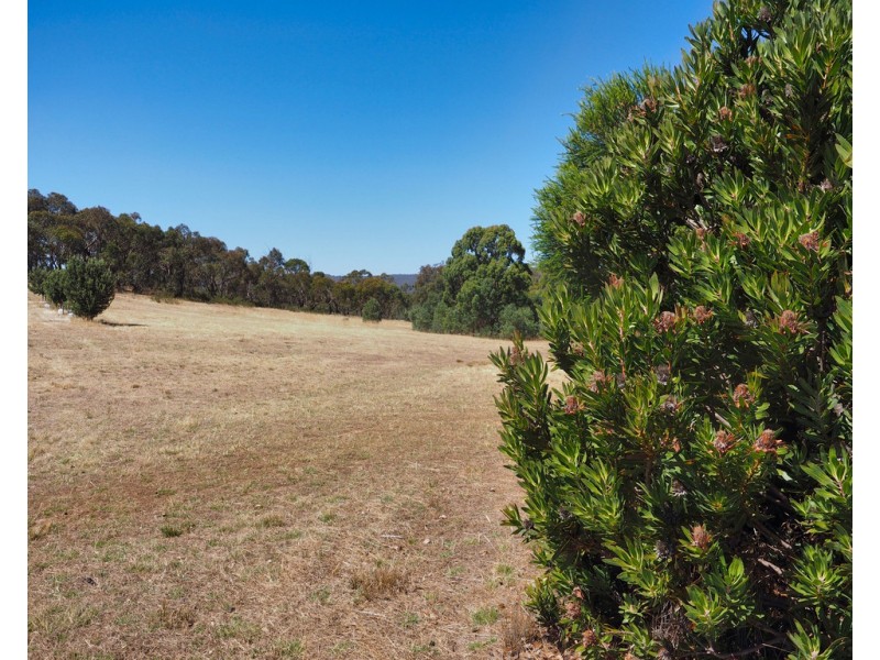 Lot 20 Rifle Butts Road, Landsborough VIC 3384