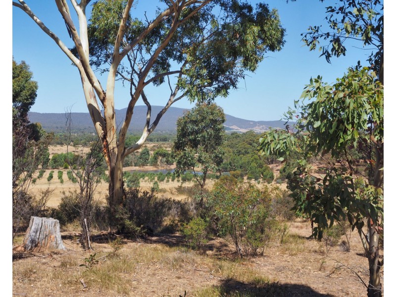 Lot 20 Rifle Butts Road, Landsborough VIC 3384