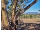 Lot 20 Rifle Butts Road, Landsborough VIC 3384