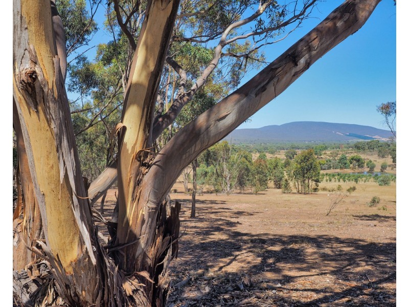 Lot 20 Rifle Butts Road, Landsborough VIC 3384