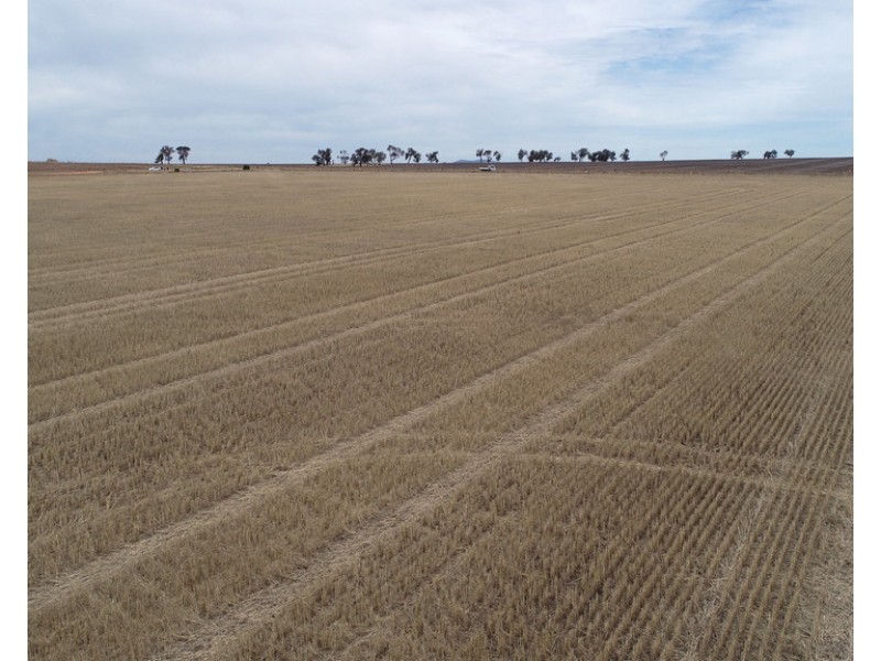 - Banyena Road, Avon Plains VIC 3477