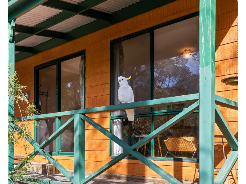 32 High Road, Halls Gap VIC 3381