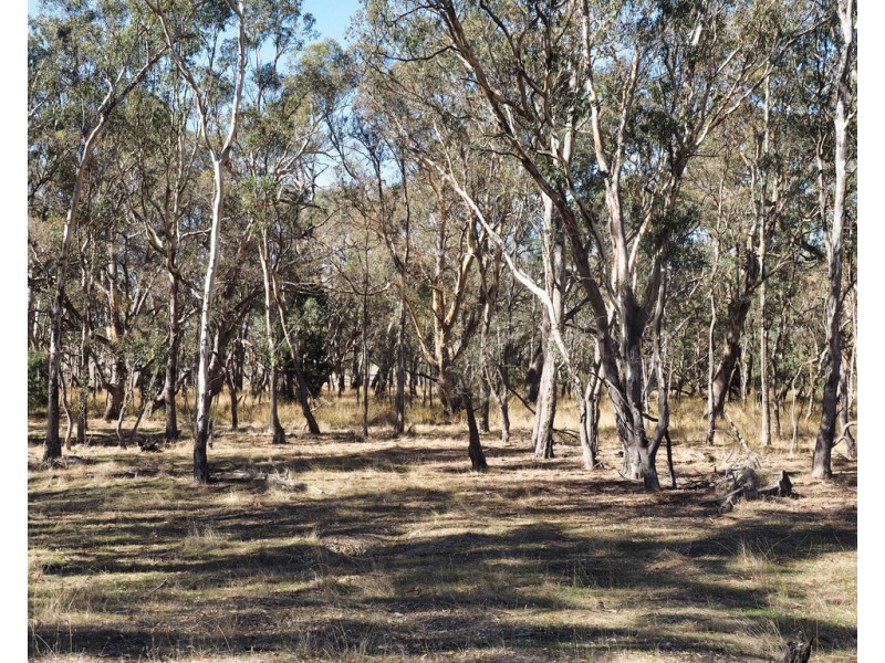 Lot 1 Redman Road, Moyston VIC 3377