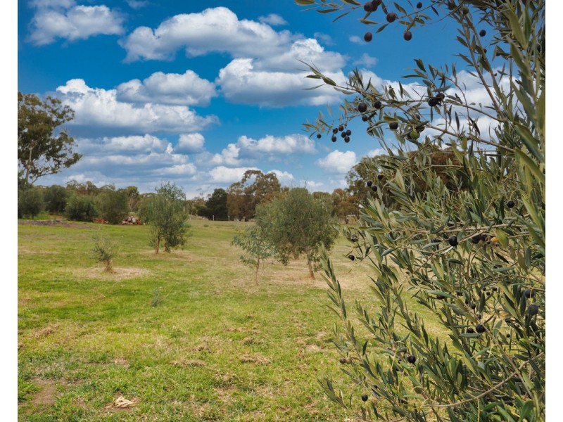 110 Campbell Street, Ararat VIC 3377