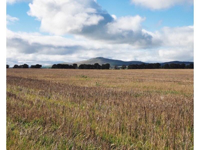 Lot 1 Moyston-Willaura Road, Willaura VIC 3379