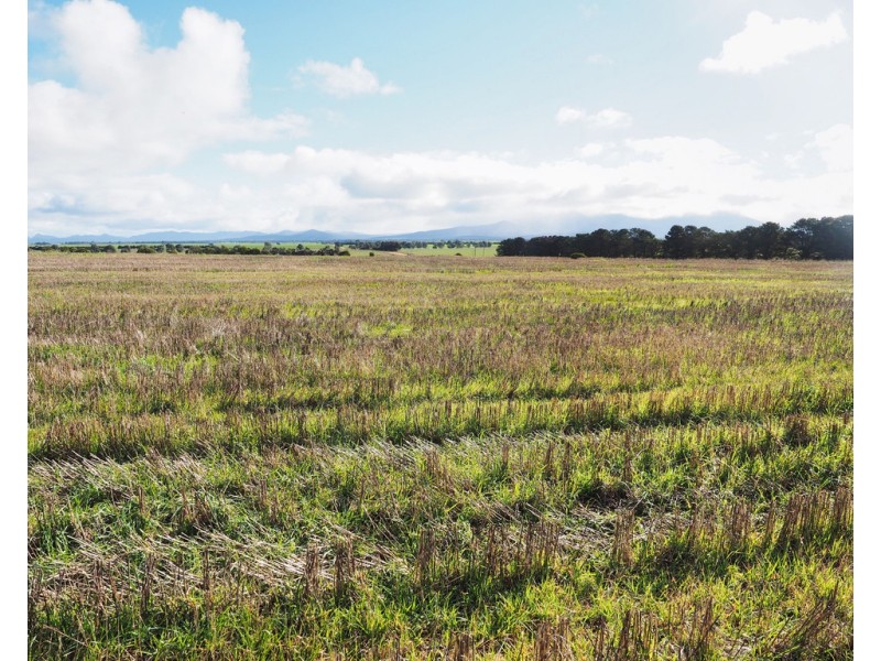 Lot 1 Moyston-Willaura Road, Willaura VIC 3379