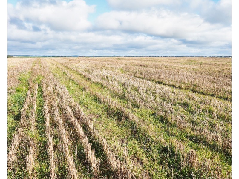 Lot 1 Moyston-Willaura Road, Willaura VIC 3379