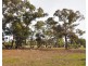 Lot 2 Military Bypass Road, Armstrong VIC 3377
