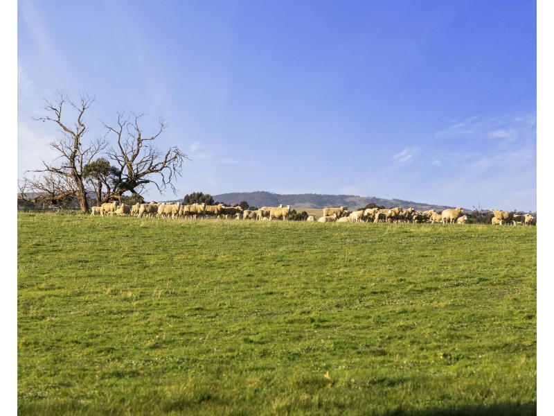 151 Banfields Road, Moyston VIC 3377