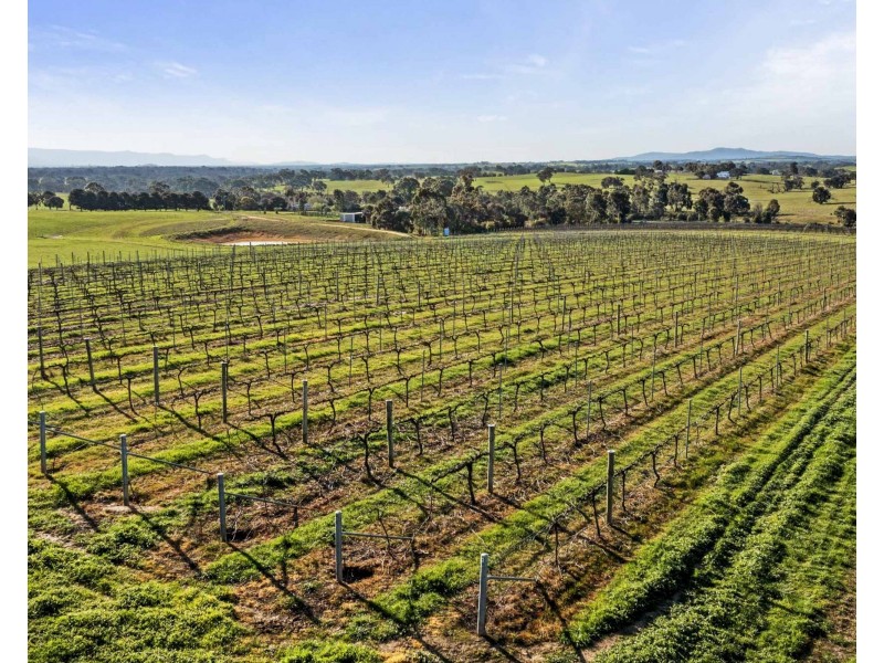 151 Banfields Road, Moyston VIC 3377