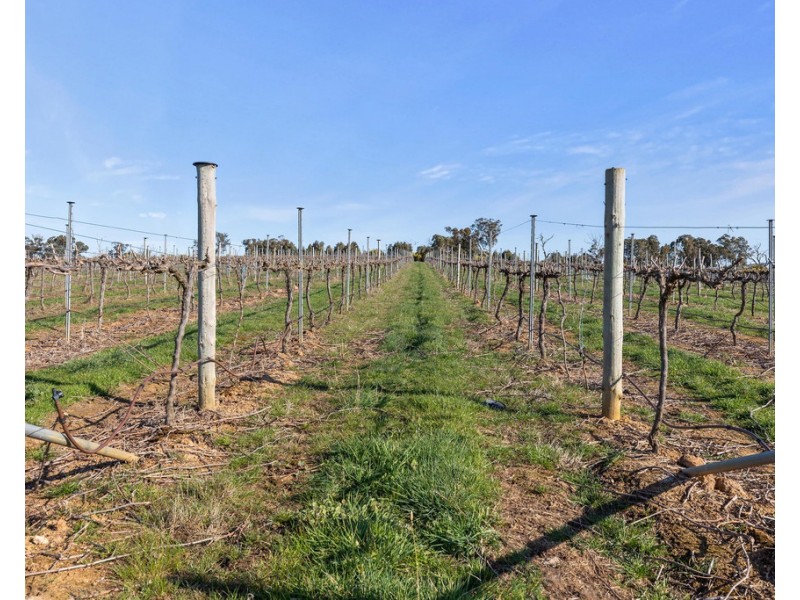 151 Banfields Road, Moyston VIC 3377