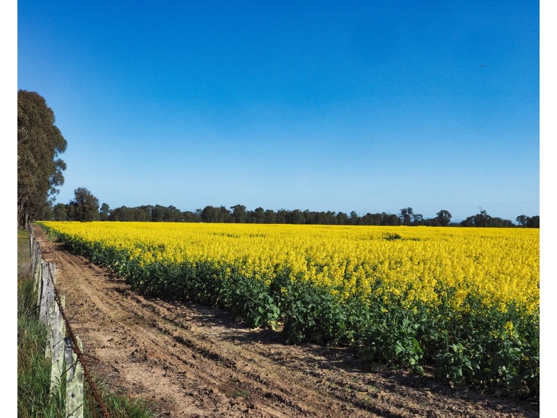 0 Stawell – Avoca Road, Greens Creek VIC 3387