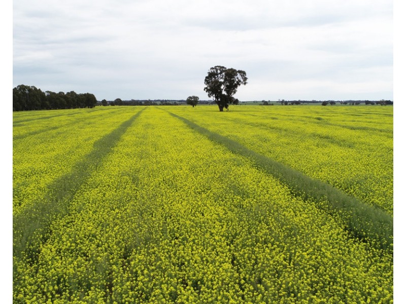 0 Stawell – Avoca Road, Greens Creek VIC 3387