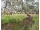Lot 122C Campbells Reef Road, Moyston VIC 3377