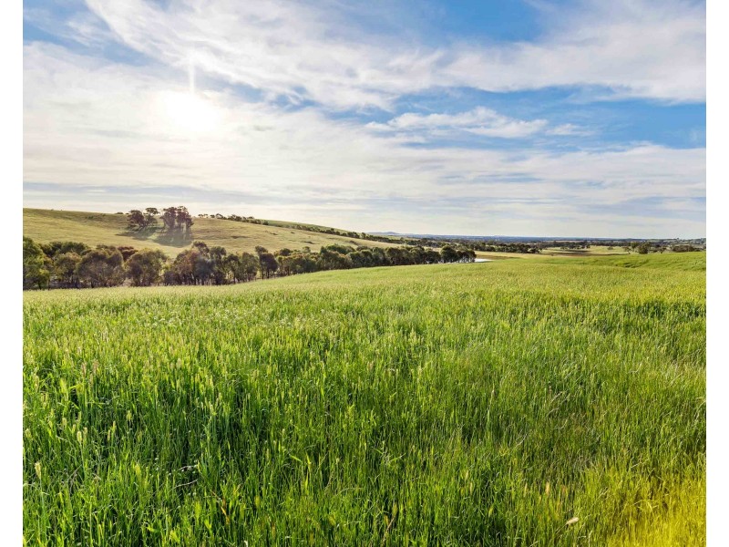 ‘ Glendhu Valley’ Glendhu Road, Crowlands VIC 3377