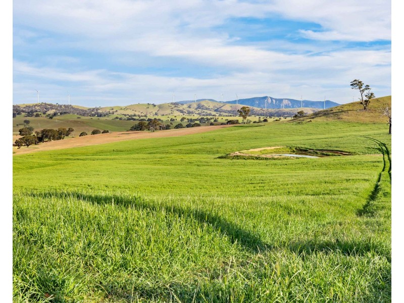 ‘ Glendhu Valley’ Glendhu Road, Crowlands VIC 3377