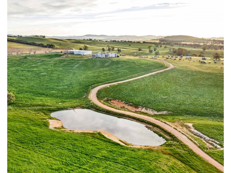 ‘ Glendhu Valley’ Glendhu Road, Crowlands VIC 3377