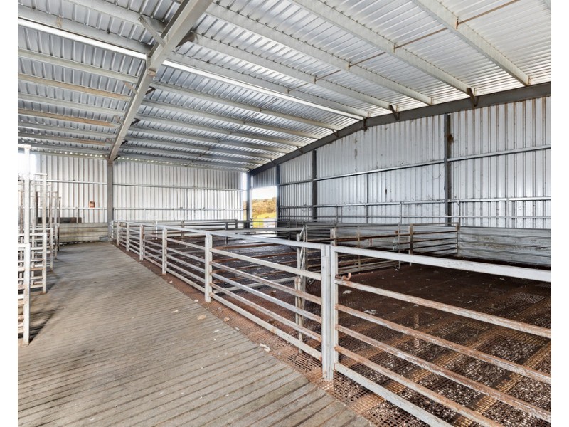 ‘ Glendhu Valley’ Glendhu Road, Crowlands VIC 3377