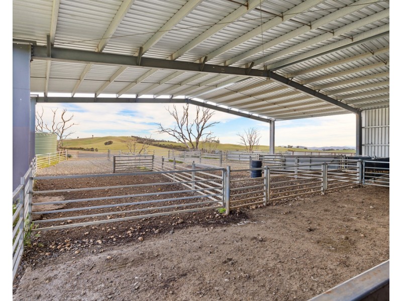 ‘ Glendhu Valley’ Glendhu Road, Crowlands VIC 3377