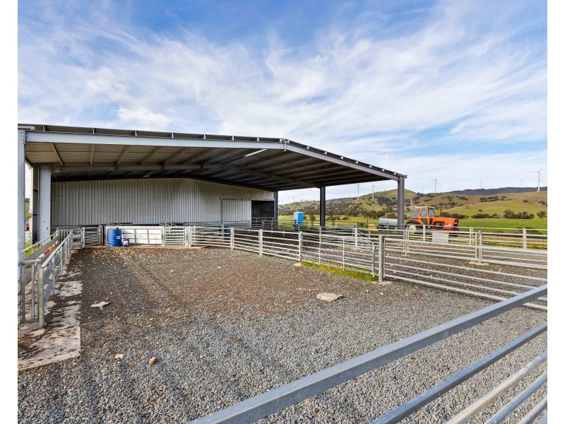 ‘ Glendhu Valley’ Glendhu Road, Crowlands VIC 3377