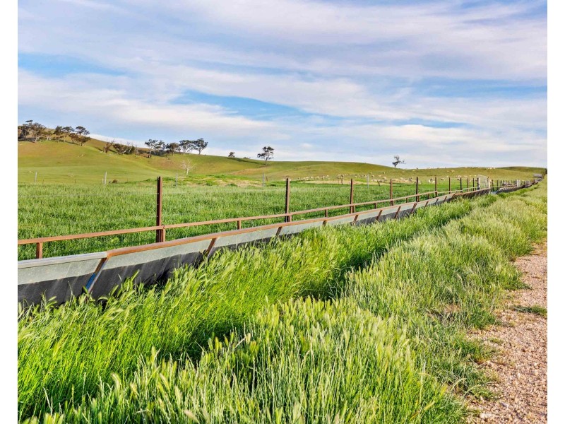 ‘ Glendhu Valley’ Glendhu Road, Crowlands VIC 3377