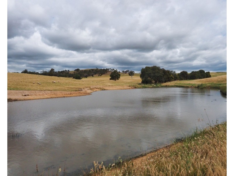 ‘ Glendhu Valley’ Glendhu Road, Crowlands VIC 3377