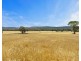 0 Landsborough-Elmhurst Road, Landsborough VIC 3384