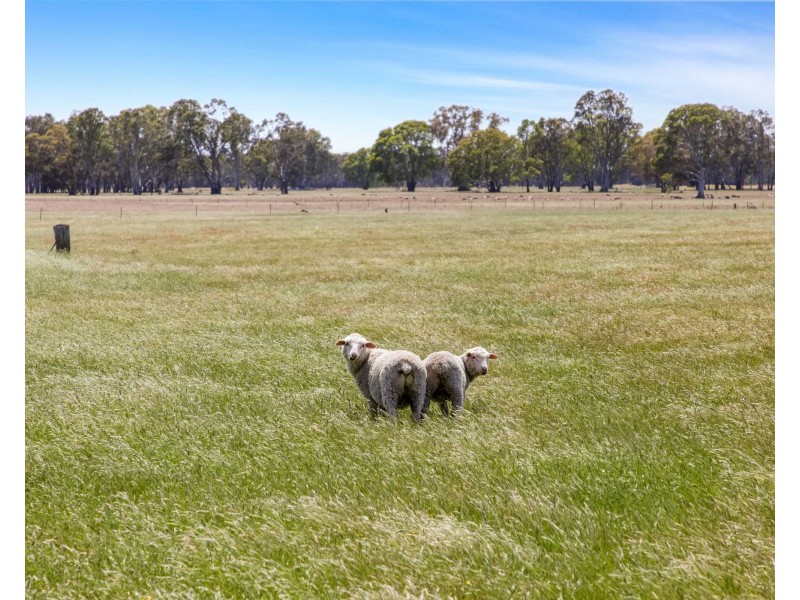 3216 Ararat-Halls Gap Road, Pomonal VIC 3381