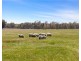 3216 Ararat-Halls Gap Road, Pomonal VIC 3381