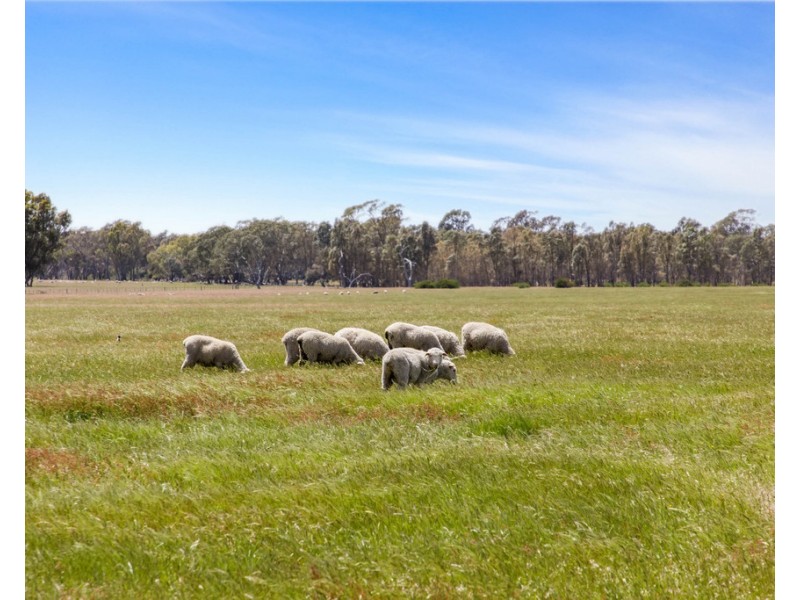 3216 Ararat-Halls Gap Road, Pomonal VIC 3381