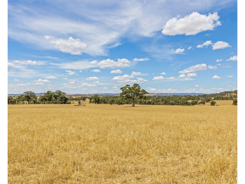 Lots 12,12A Bibby Road, Navarre VIC 3384