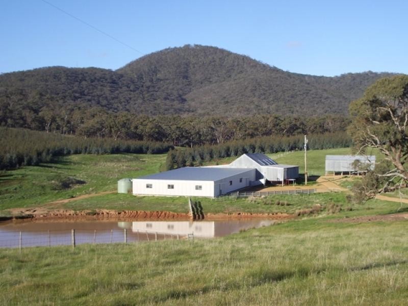 - Iron Pot Creek Road, Warrak VIC 3377