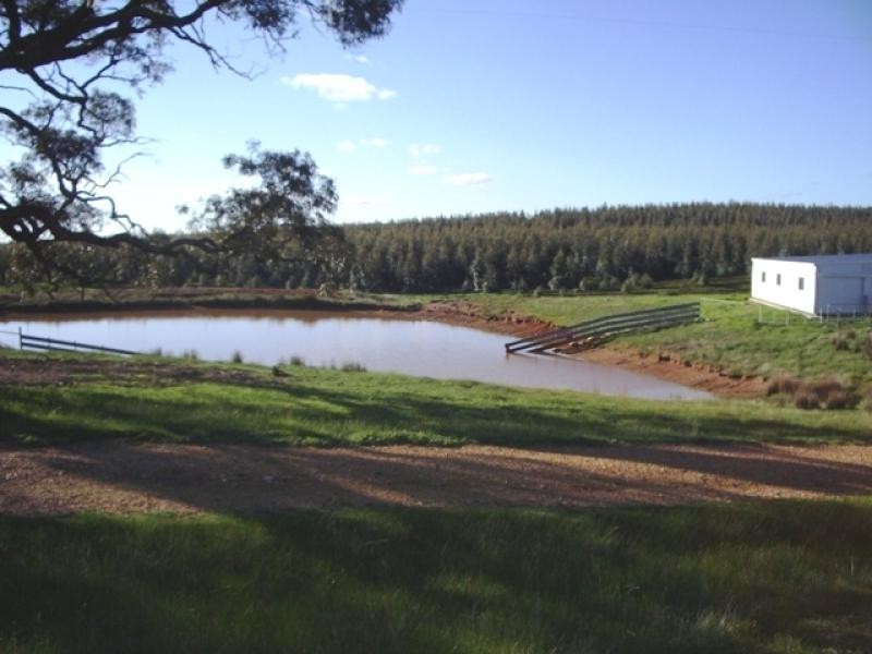 - Iron Pot Creek Road, Warrak VIC 3377