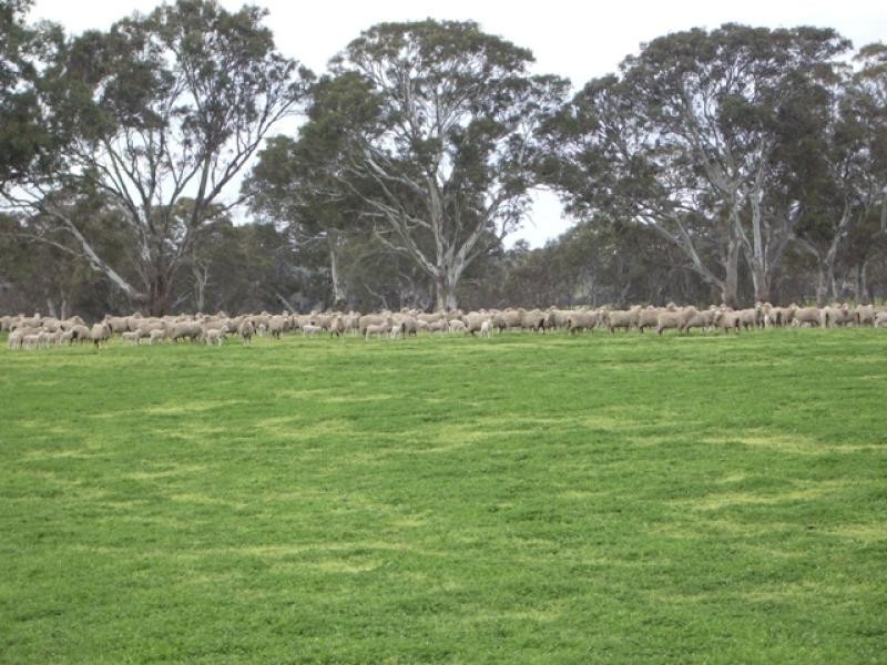 - Warrak Rd, Ararat VIC 3377