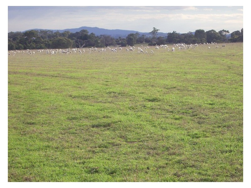 0 Banfield Road, Moyston VIC 3377