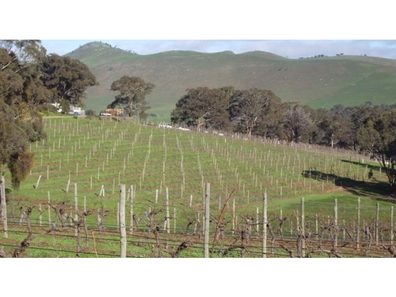 - Moyston Road, Ararat VIC 3377