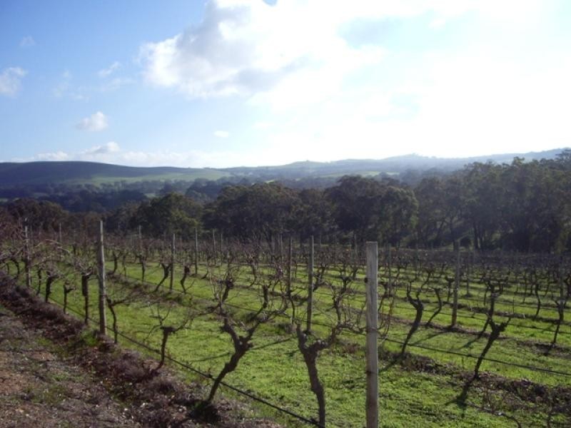 - Moyston Road, Ararat VIC 3377