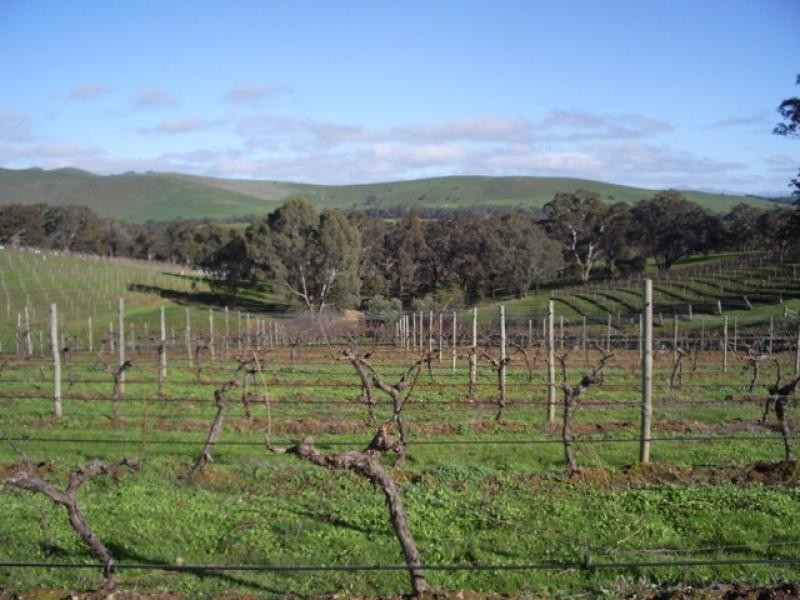 - Moyston Road, Ararat VIC 3377