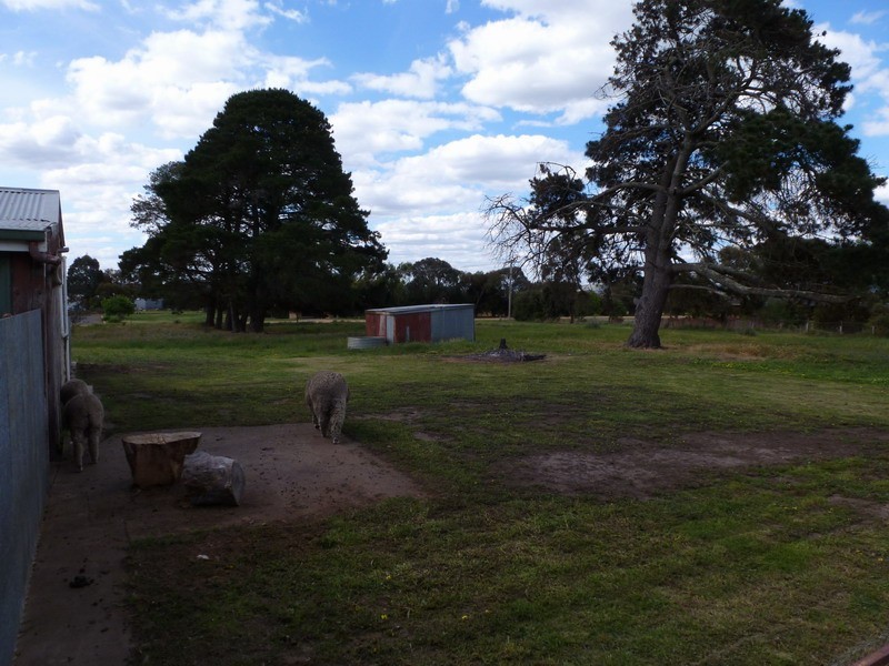 7 Jacksons Creek Road, Ararat VIC 3377