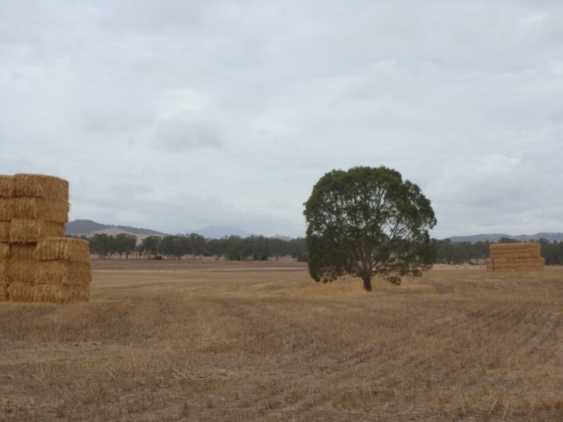 0 Cnr Stawell Joel Rd and Gibson Lane, Joel South VIC 3381