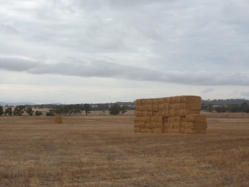 0 Cnr Stawell Joel Rd and Gibson Lane, Joel South VIC 3381