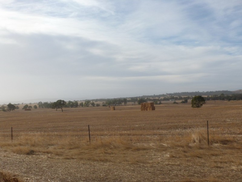 0 Cnr Stawell Joel Rd and Gibson Lane, Joel South VIC 3381