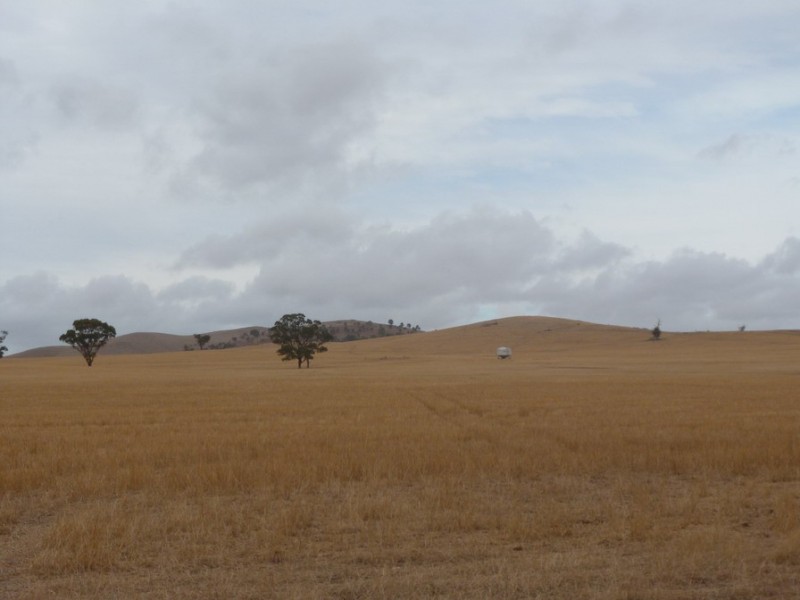 0 Cnr Stawell Joel Rd and Gibson Lane, Joel South VIC 3381