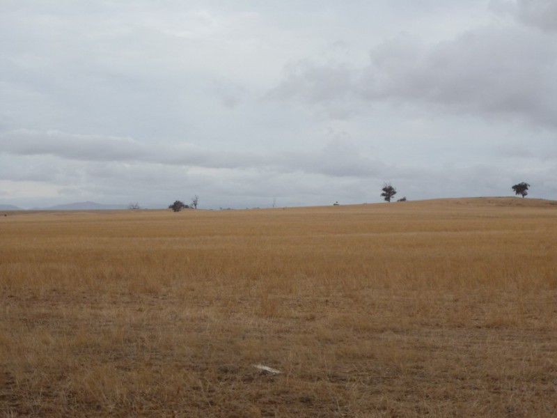 0 Cnr Stawell Joel Rd and Gibson Lane, Joel South VIC 3381