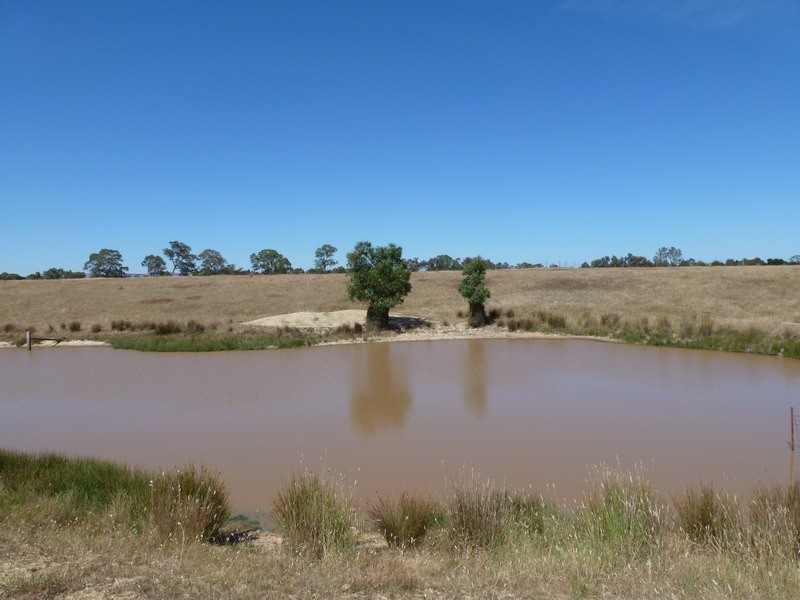 0 St Arnaud Rd, Crowlands VIC 3377